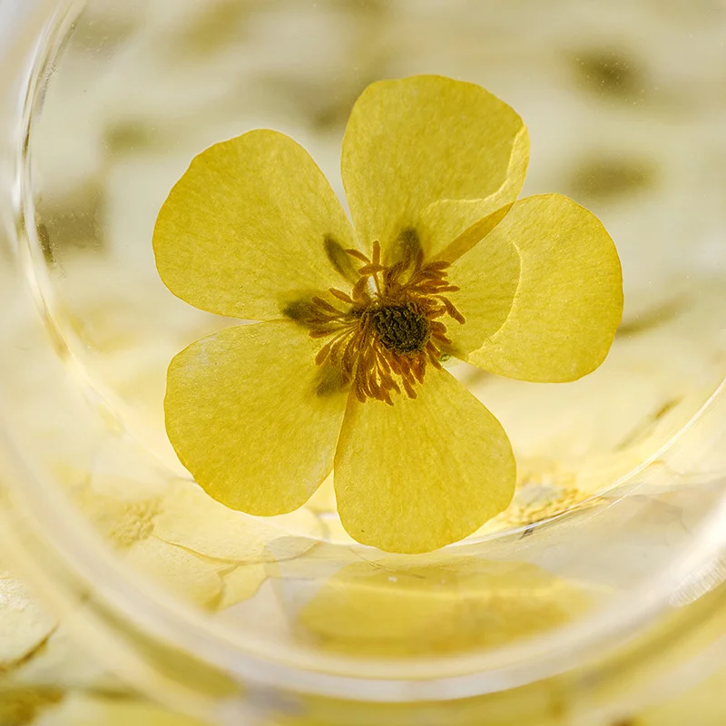 Dried Flower Bookmark - 100 szt. suszonych kwiatów ranunkulusa, prasowane