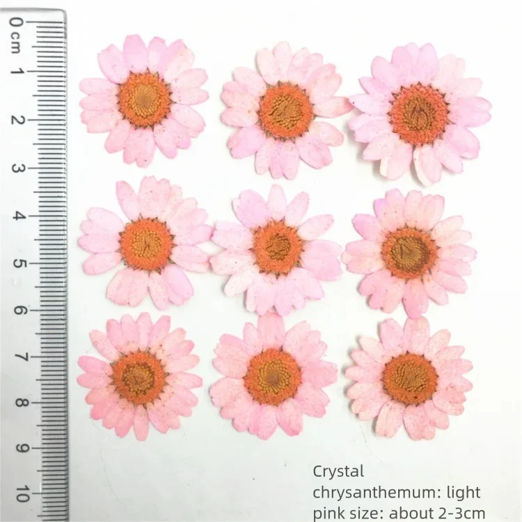 100 sztuk farbowanych płatków  – Dried Flower Bookmark recenzja i cena