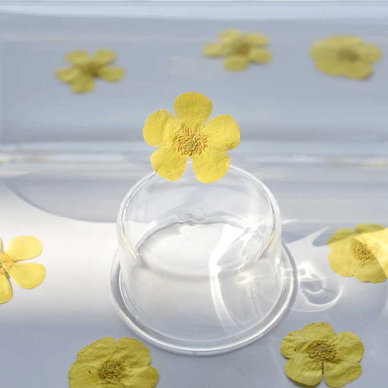 100 szt. suszonych kwiatów ran – Dried Flower Bookmark recenzja i cena
